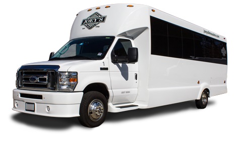 20 Passenger Party Bus in Worcester County, Massachusetts